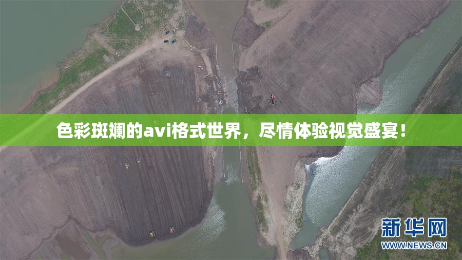 色彩斑斓的avi格式世界，尽情体验视觉盛宴！