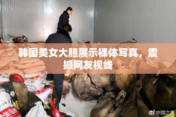 韩国美女大胆展示裸体写真，震撼网友视线