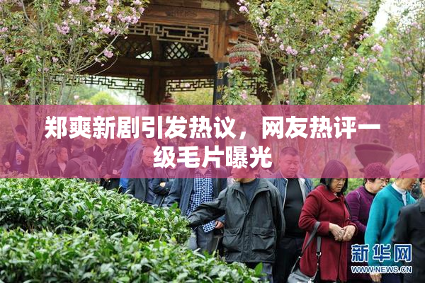 郑爽新剧引发热议，网友热评一级毛片曝光