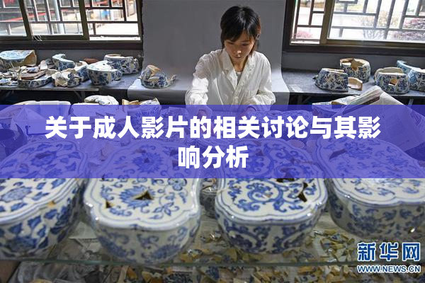 关于成人影片的相关讨论与其影响分析