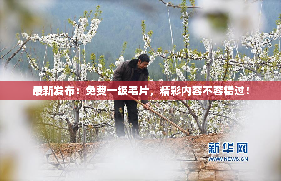 最新发布：免费一级毛片，精彩内容不容错过！