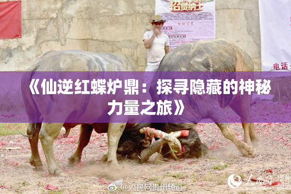 《仙逆红蝶炉鼎：探寻隐藏的神秘力量之旅》