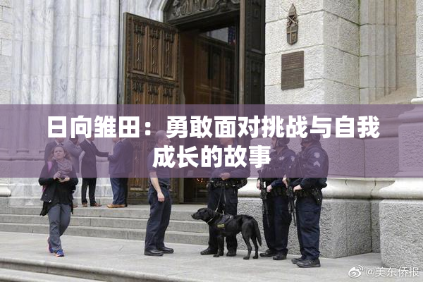 日向雏田：勇敢面对挑战与自我成长的故事