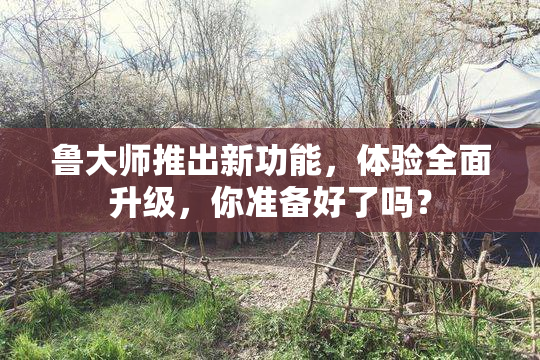 鲁大师推出新功能，体验全面升级，你准备好了吗？