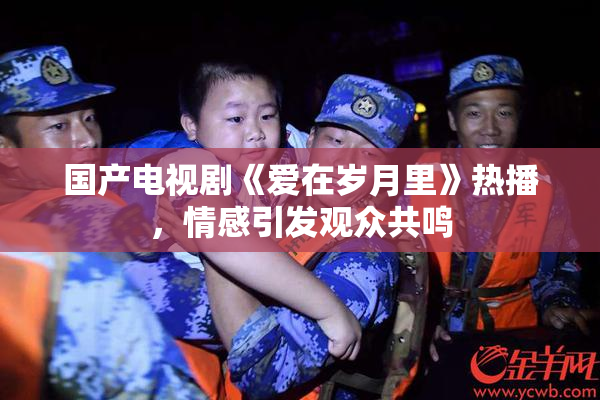 国产电视剧《爱在岁月里》热播，情感引发观众共鸣