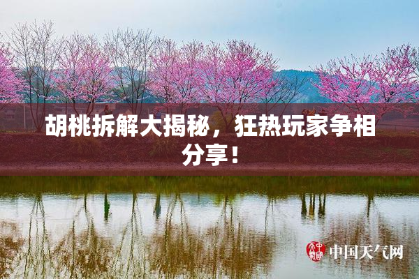 胡桃拆解大揭秘，狂热玩家争相分享！