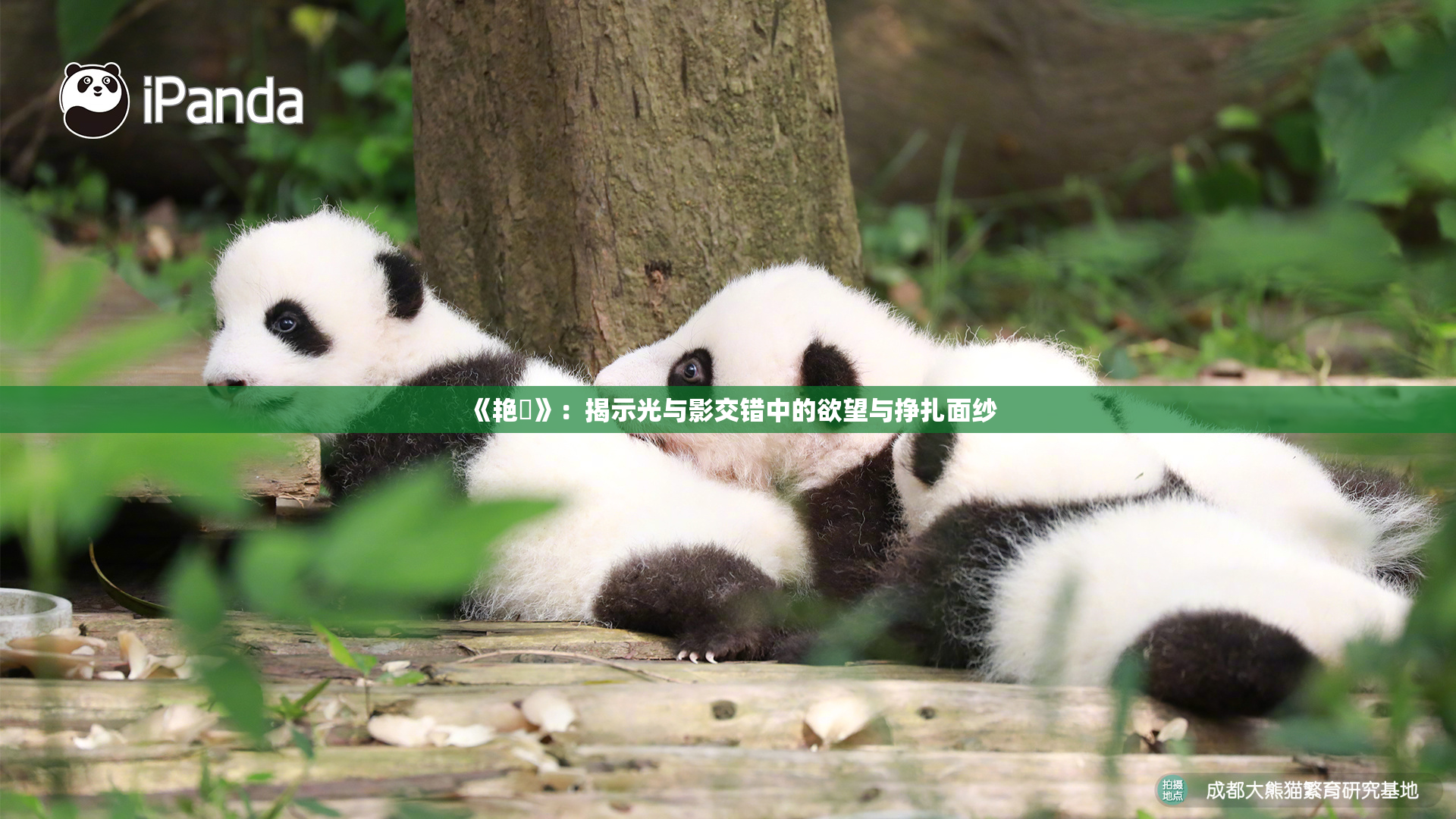 《艳鉧》：揭示光与影交错中的欲望与挣扎面纱