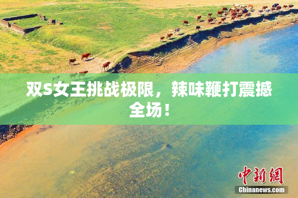 双S女王挑战极限，辣味鞭打震撼全场！