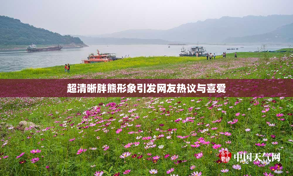 超清晰胖熊形象引发网友热议与喜爱