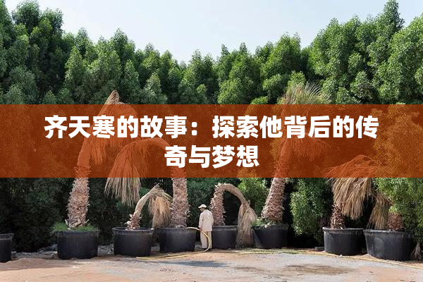 齐天寒的故事：探索他背后的传奇与梦想