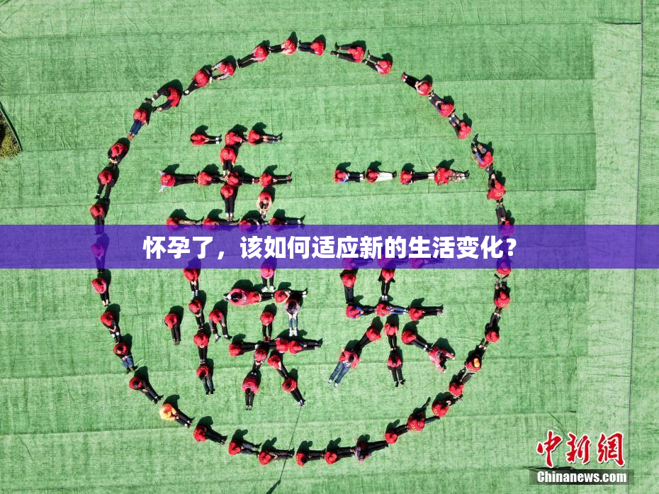 怀孕了，该如何适应新的生活变化？