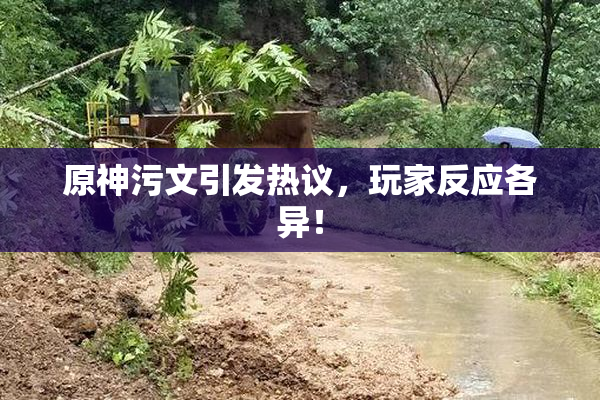 原神污文引发热议，玩家反应各异！