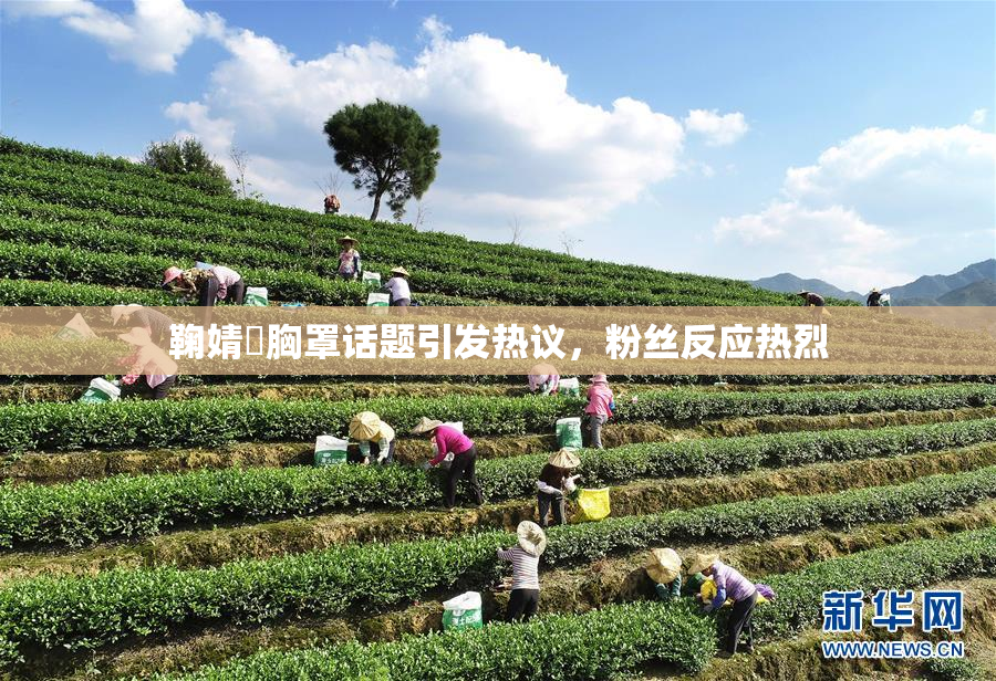 鞠婧祎胸罩话题引发热议，粉丝反应热烈