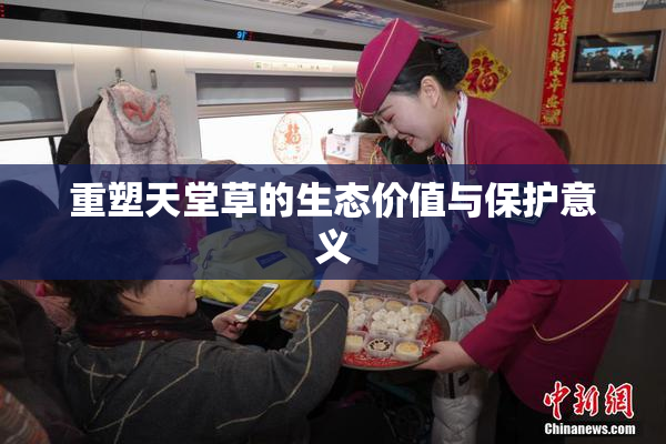 重塑天堂草的生态价值与保护意义