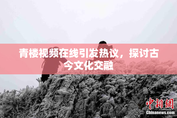 青楼视频在线引发热议，探讨古今文化交融