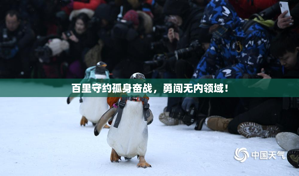 百里守约孤身奋战，勇闯无内领域！