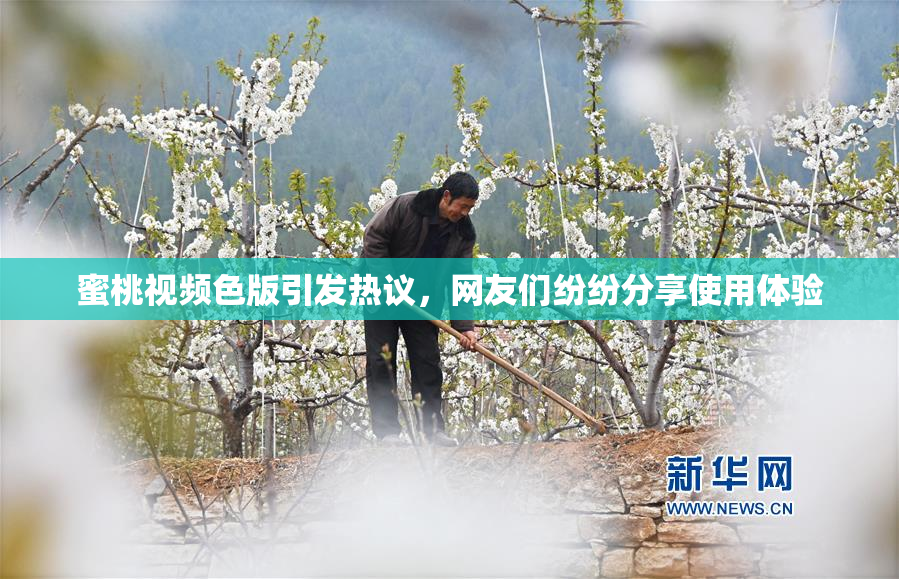 蜜桃视频色版引发热议，网友们纷纷分享使用体验
