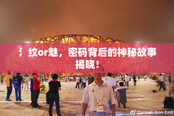 氵纹or魅，密码背后的神秘故事揭晓！