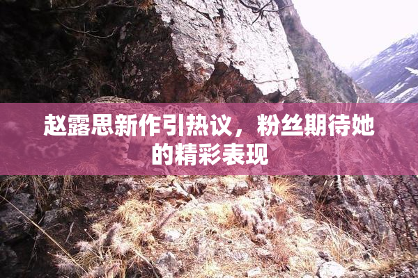 赵露思新作引热议，粉丝期待她的精彩表现