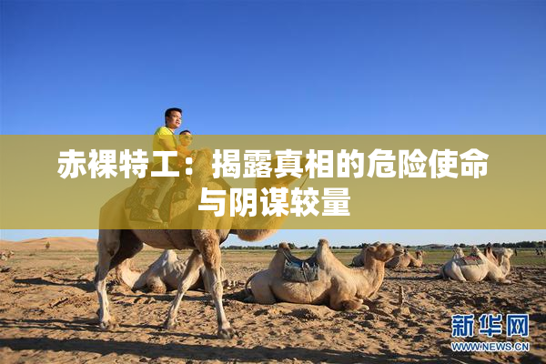 赤裸特工：揭露真相的危险使命与阴谋较量
