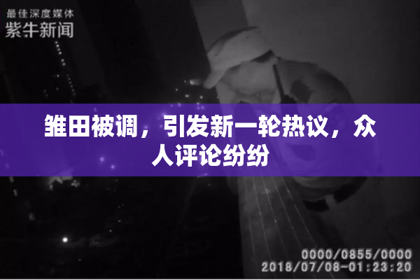 雏田被调，引发新一轮热议，众人评论纷纷