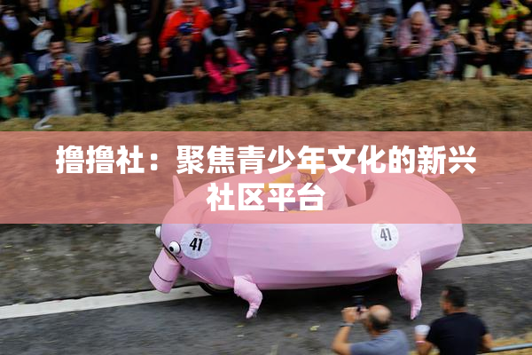 撸撸社：聚焦青少年文化的新兴社区平台