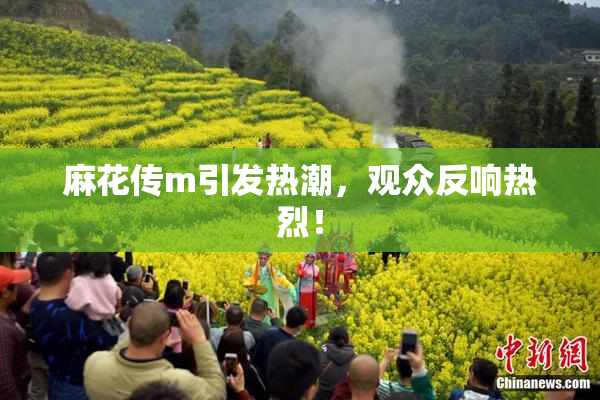 麻花传m引发热潮，观众反响热烈！