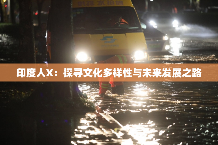 印度人X：探寻文化多样性与未来发展之路