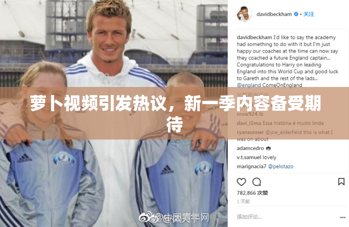 萝卜视频引发热议，新一季内容备受期待
