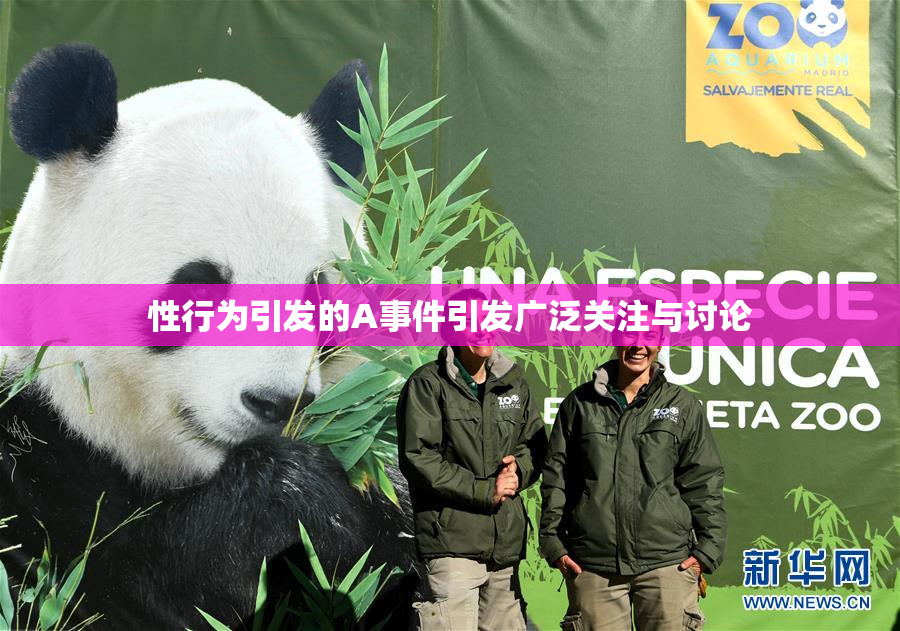 性行为引发的A事件引发广泛关注与讨论