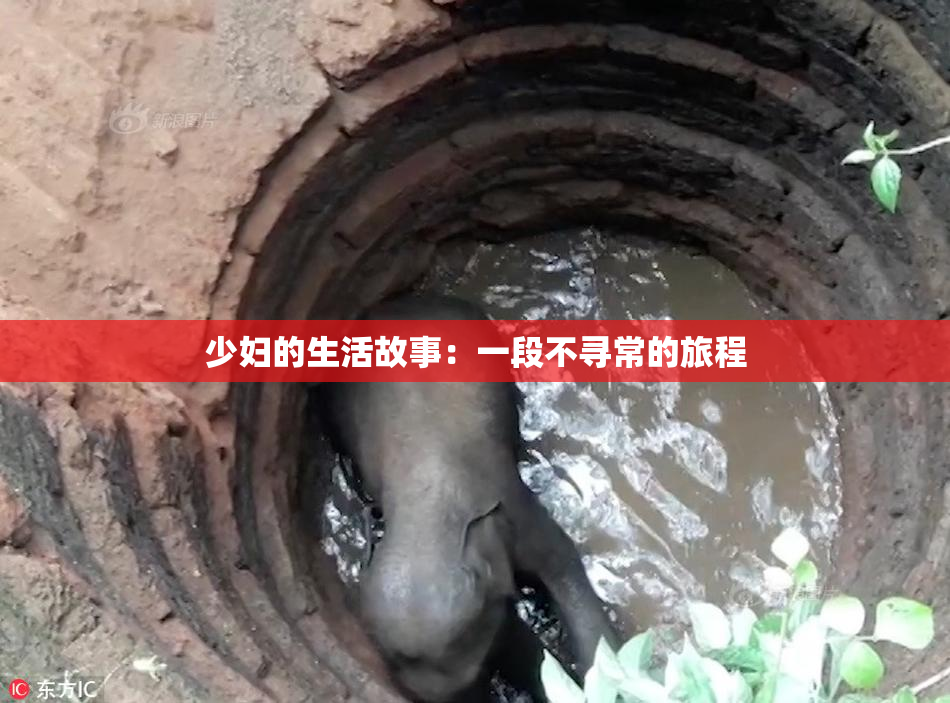 少妇的生活故事：一段不寻常的旅程