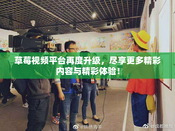 草莓视频平台再度升级，尽享更多精彩内容与精彩体验！