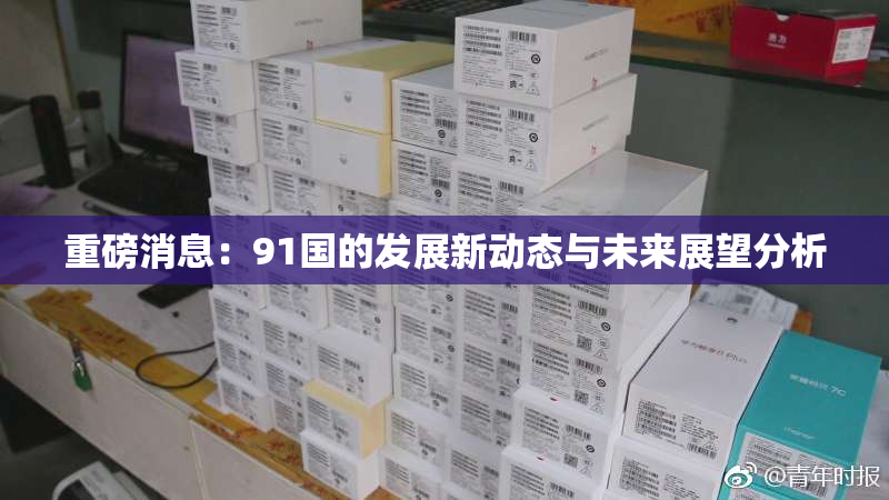 重磅消息：91国的发展新动态与未来展望分析