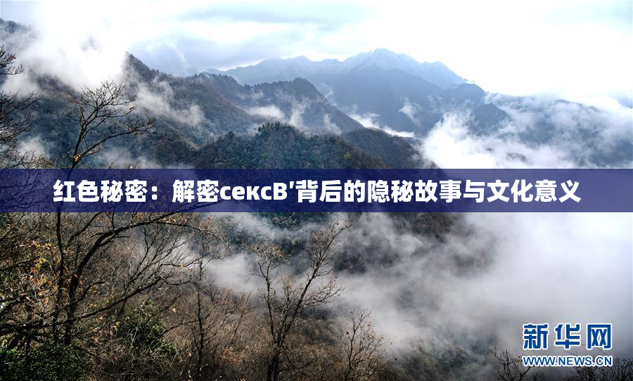 红色秘密：解密сексB′背后的隐秘故事与文化意义