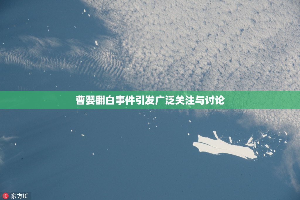曹婴翻白事件引发广泛关注与讨论