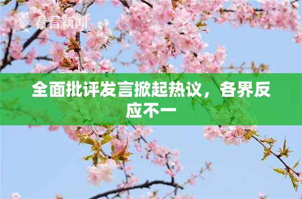 全面批评发言掀起热议，各界反应不一