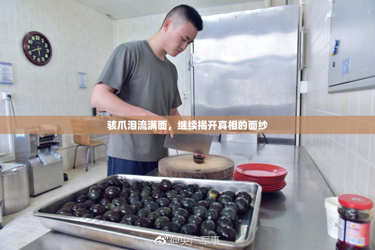 骇爪泪流满面，继续揭开真相的面纱