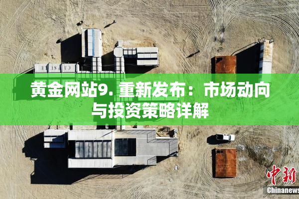 黄金网站9. 重新发布：市场动向与投资策略详解