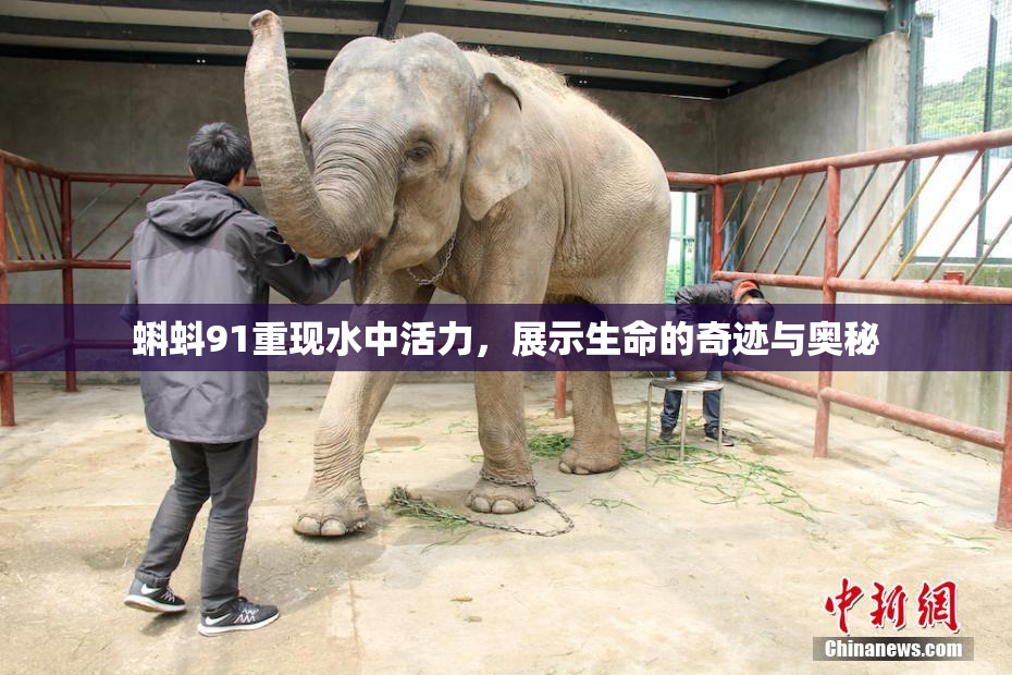 蝌蚪91重现水中活力，展示生命的奇迹与奥秘