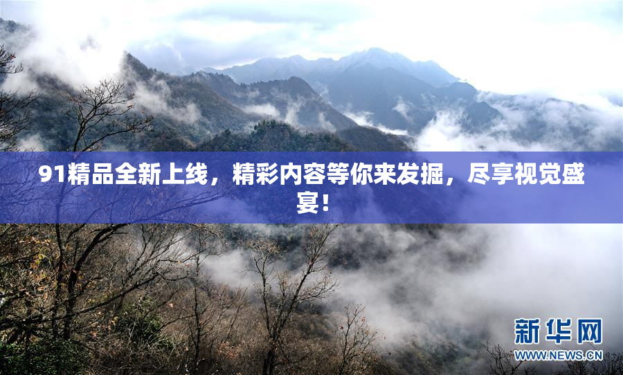 91精品全新上线，精彩内容等你来发掘，尽享视觉盛宴！