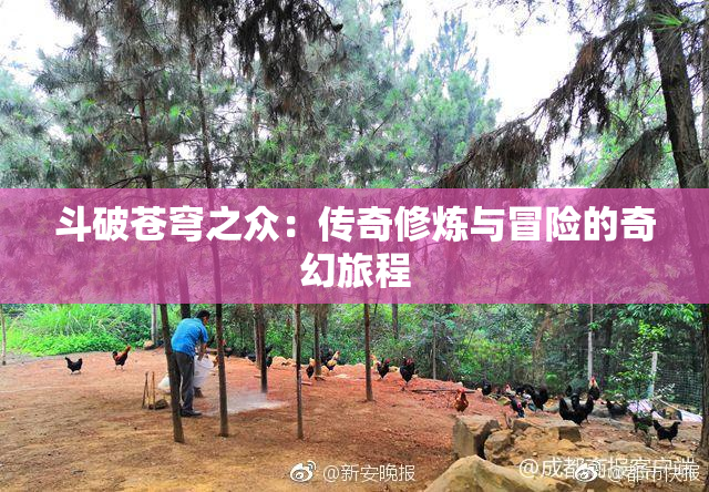斗破苍穹之众：传奇修炼与冒险的奇幻旅程