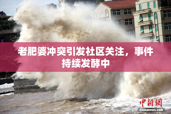 老肥婆冲突引发社区关注，事件持续发酵中