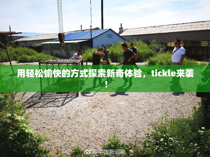 用轻松愉快的方式探索新奇体验，tickle来袭！