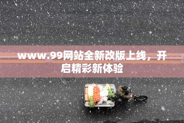 www.99网站全新改版上线，开启精彩新体验