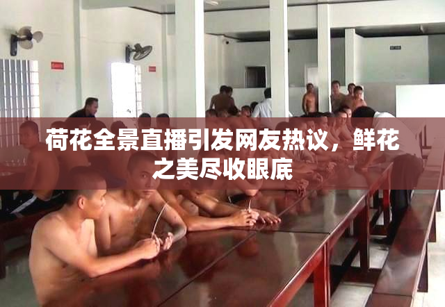 荷花全景直播引发网友热议，鲜花之美尽收眼底