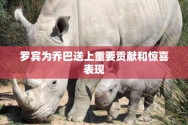 罗宾为乔巴送上重要贡献和惊喜表现