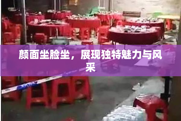 颜面坐脸坐，展现独特魅力与风采