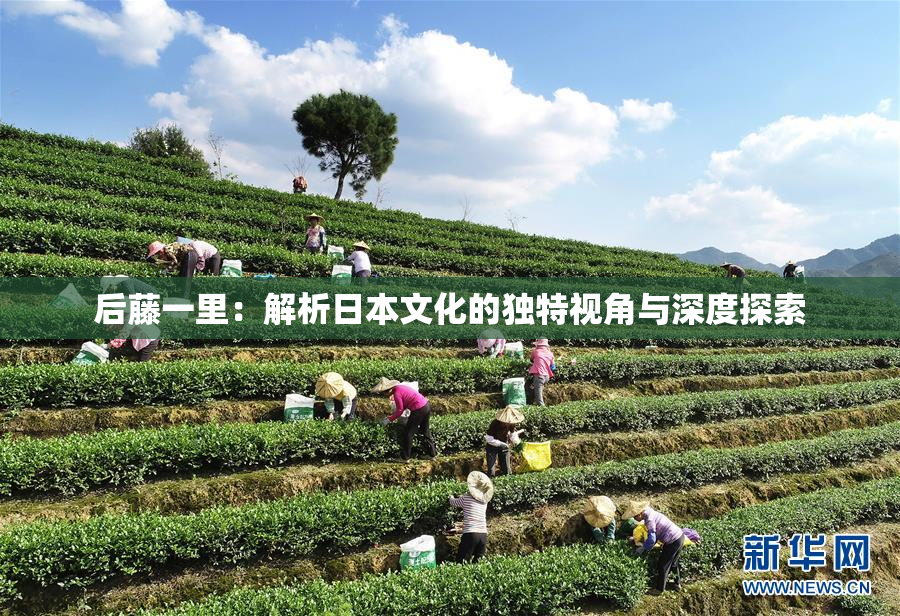 后藤一里：解析日本文化的独特视角与深度探索