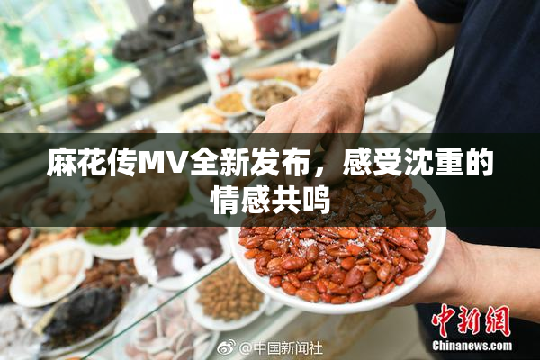 麻花传MV全新发布，感受沈重的情感共鸣