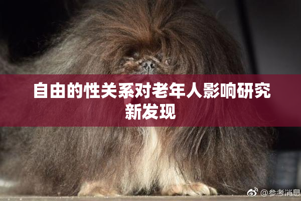 自由的性关系对老年人影响研究新发现